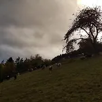 Alpenzeit * Arzl im Pitztal