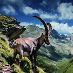 Lägenhet Alpenzeit Arzl im Pitztal