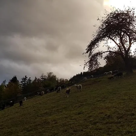 Alpenzeit * Arzl im Pitztal