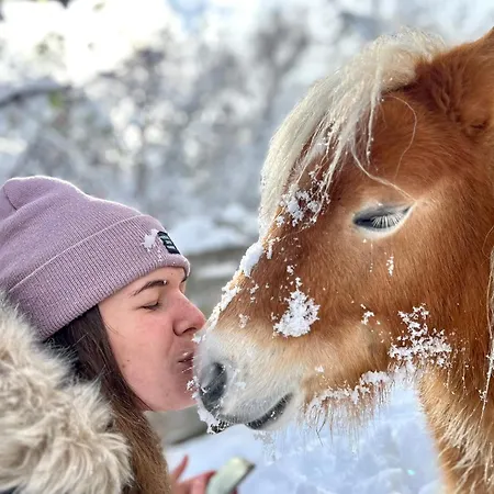 Alpenzeit * Arzl im Pitztal