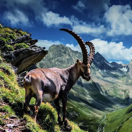 Apartmán Alpenzeit Arzl im Pitztal