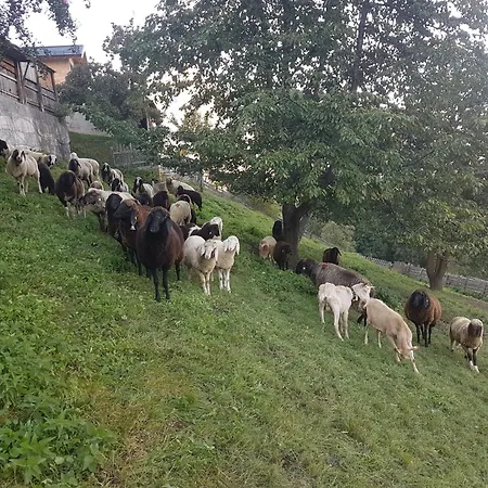 Apartmán Alpenzeit Arzl im Pitztal